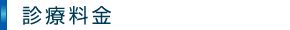 診療料金